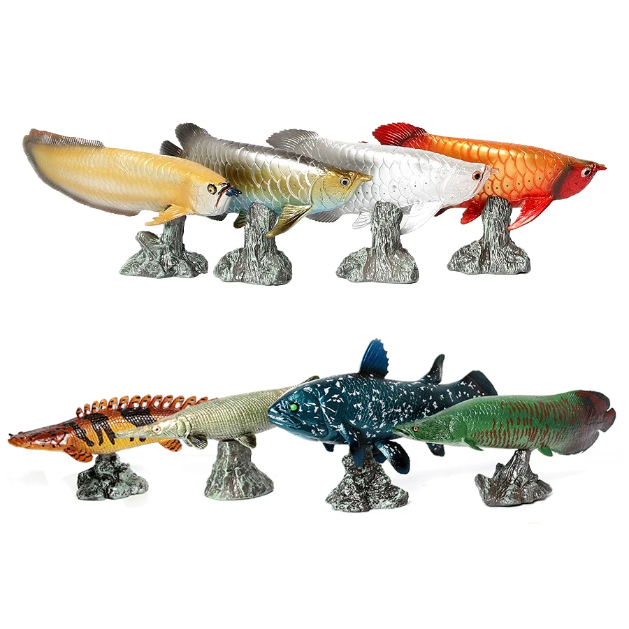 Kids Toys Review - Arowana Pirarucu Coelacanth Bichir Alligator fish