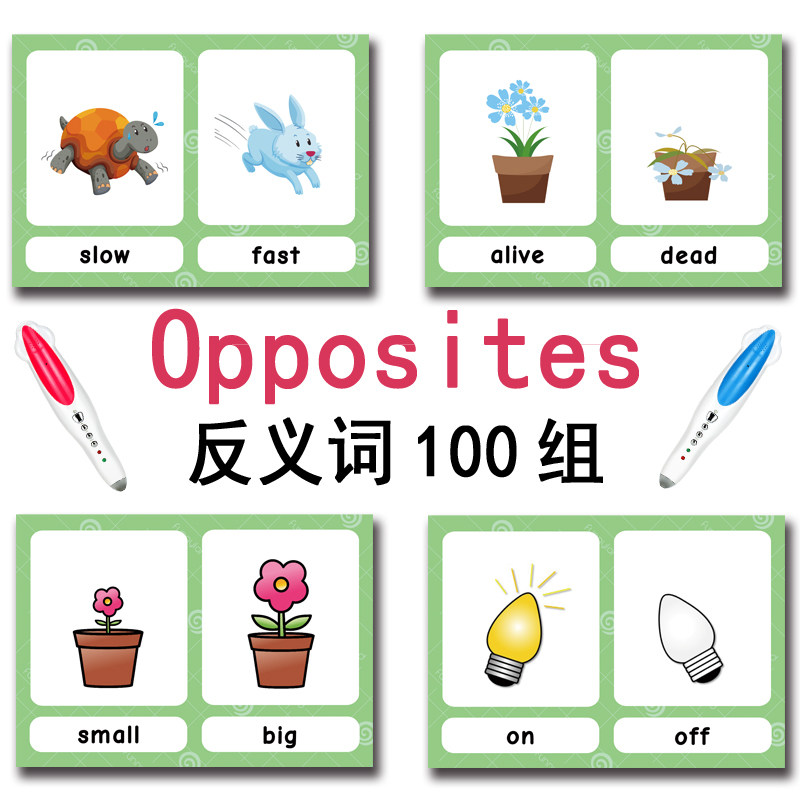 The 100 Groups Opposites Flash - Kids Toys And Games reseña y precio