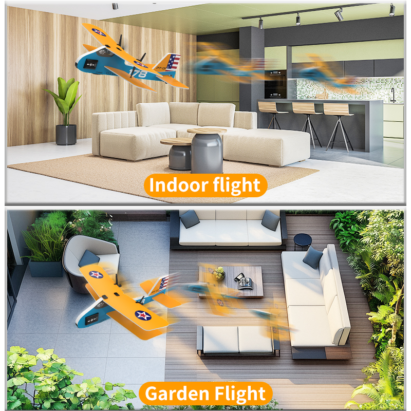 Professional RC Plane 2.4G Rad - Kids Toys Under $20 reseña y precio