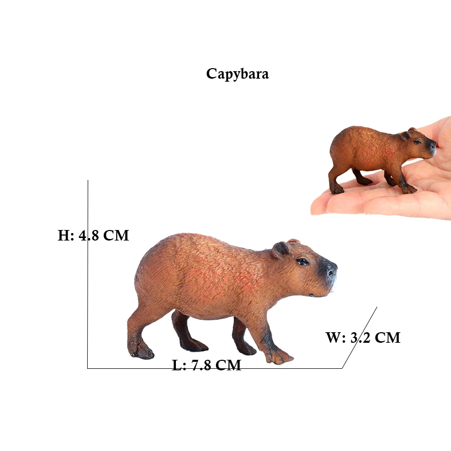 Capibara Capybaras Squirrel Ma - Kids Toys Review reseña y precio