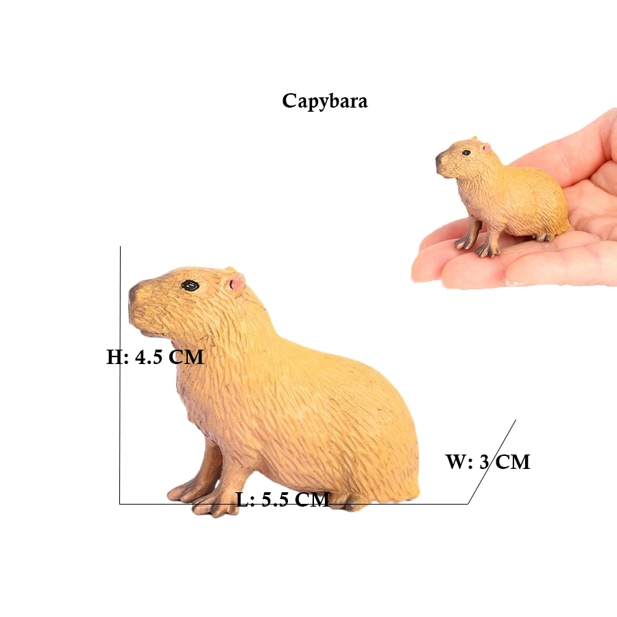 Capibara Capybaras Squirrel Ma - Kids Toys Review reseña y precio