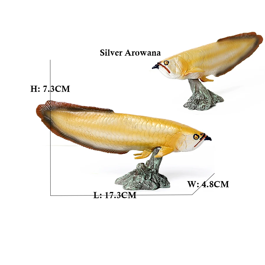 Arowana Pirarucu Coelacanth Bi - Kids Toys Review reseña y precio