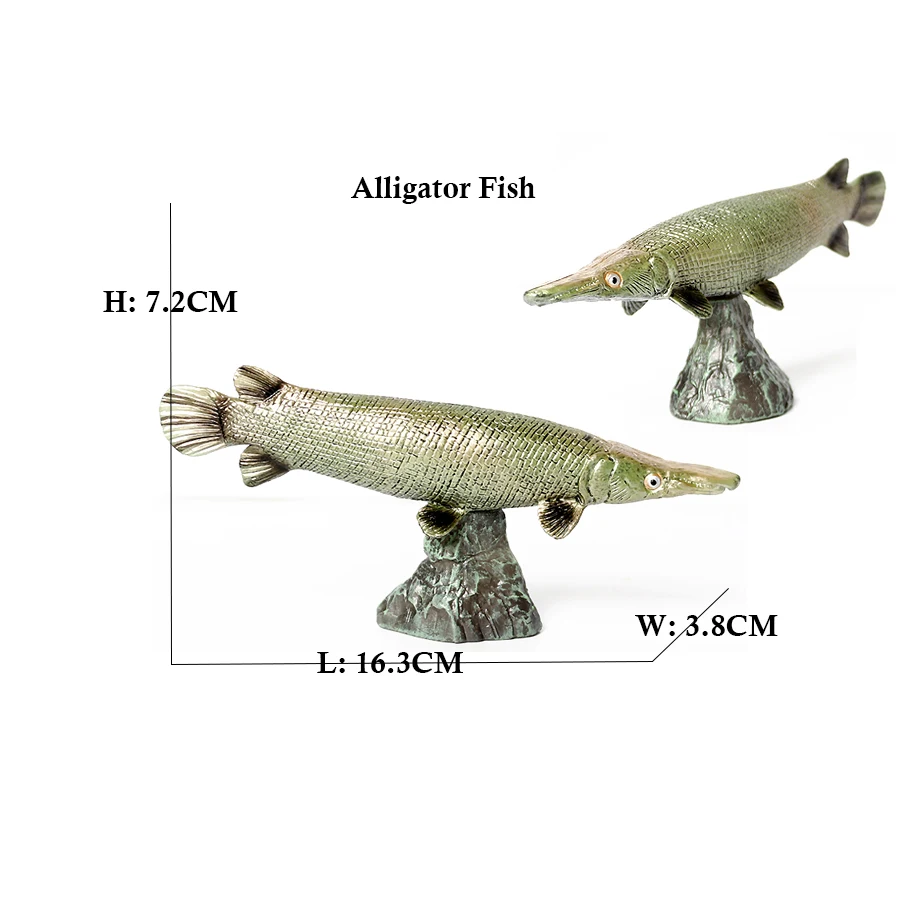 Arowana Pirarucu Coelacanth Bi - Kids Toys Review reseña y precio