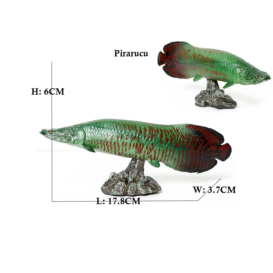 Arowana Pirarucu Coelacanth Bi - Kids Toys Review reseña y precio