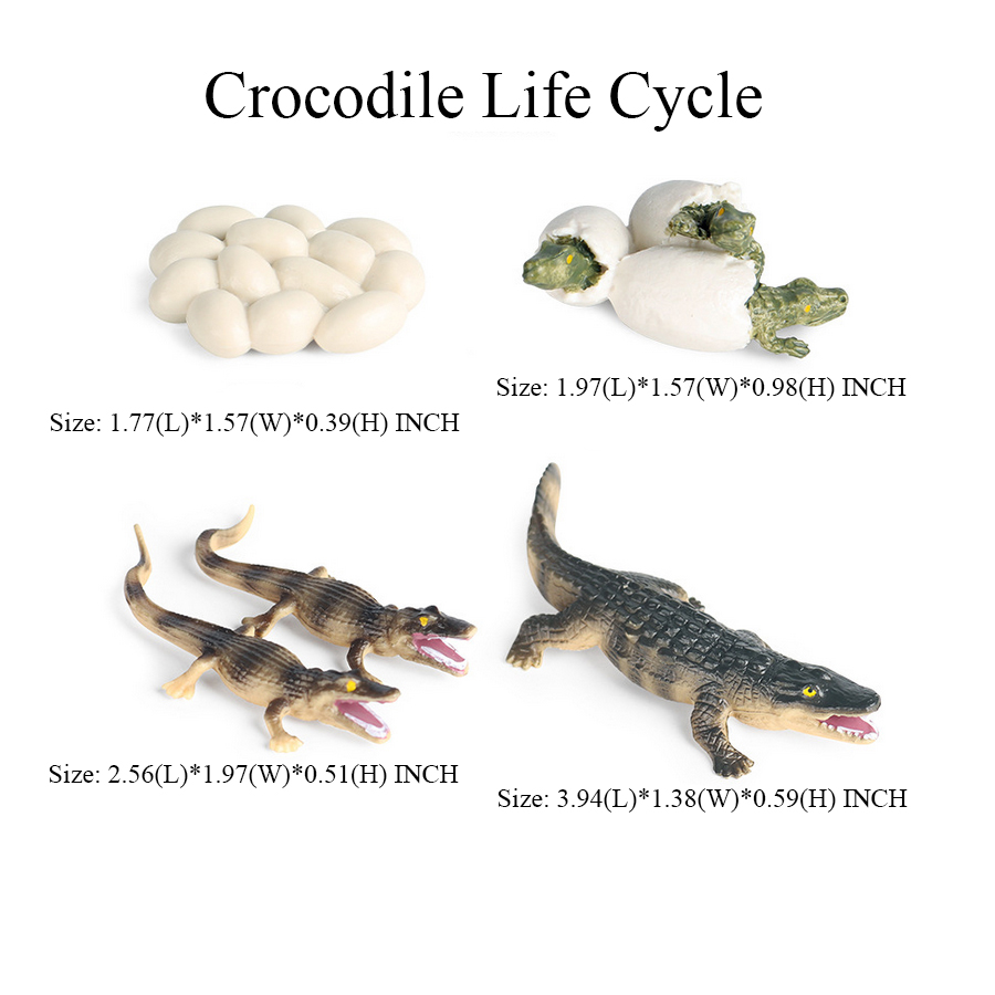 Toy of crocodile Figure Toys A - Kids Toys Review reseña y precio