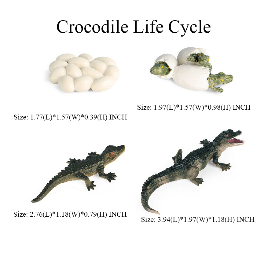 Toy of crocodile Figure Toys A - Kids Toys Review reseña y precio
